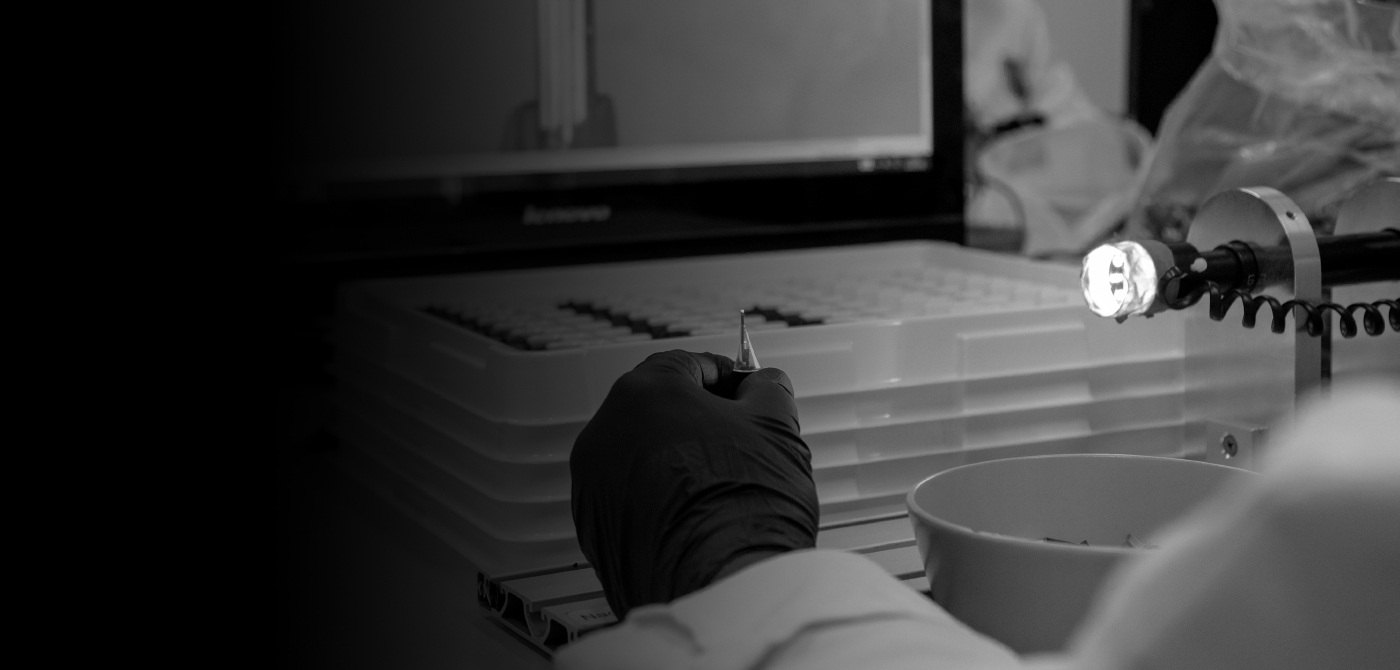 Cheyenne about us header