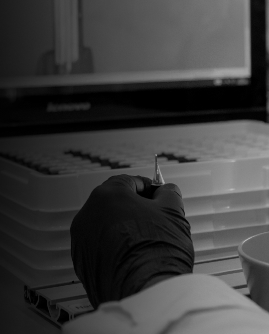 Cheyenne about us header